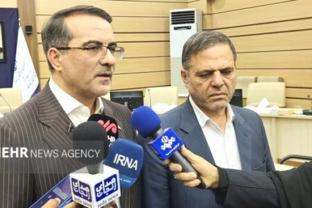رفیع‌زاده: بررسی ساماندهی نیروهای شرکتی در دستور کار دولت قرار دارد
