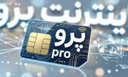 روزنامه اصولگرا: «اینترنت پرو» به سرمایه اجتماعی ضربه می‌زند/ اگر اینترنت بین الملل مشکل امنیتی دارد، با پول گرفتن از مردم این مشکلش حل می شود؟!