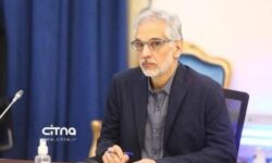 ریاضی: پلتفرم‌های داخلی نتوانستند جایگزین مؤثری برای پلتفرم‌های بین‌المللی شوند