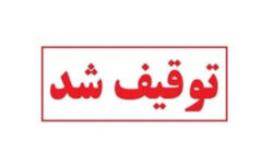زمین‌گیر شدن ۵۰ خودروی شوتی حامل سوخت قاچاق در هرمزگان