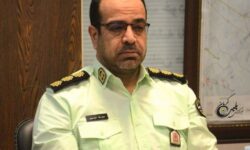 سارقان حرفه ای خودرو در کرمان به دام پلیس افتادند
