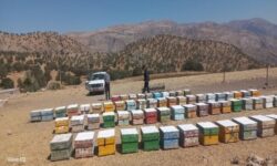 ساماندهی محل اسکان زنبورداران در بخش میانکوه اردل آغاز شد