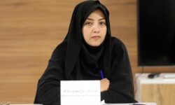 سعیدی: افزایش قیمت خودرو به بهانه نبود فولاد بررسی شد