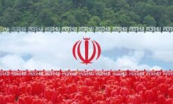 سفیر ایران از بازگشت ۲۰ ملوان ایرانی با تلاش دیپلماتیک پاکستان خبر داد
