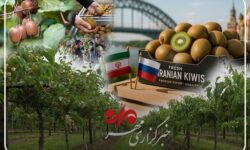 شناسنامه‌دار شدن محصولات کشاورزی؛ گامی اساسی برای سلامت غذا