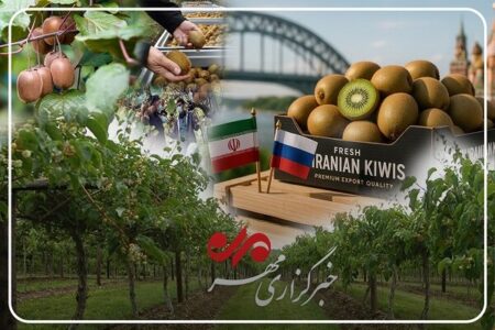 شناسنامه‌دار شدن محصولات کشاورزی؛ گامی اساسی برای سلامت غذا