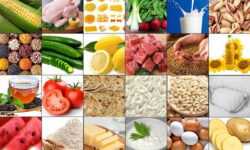 ضرورت ارائه راهکارهای عملیاتی برای امنیت غذایی در شرایط بحران