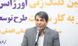 طالبی: سلامت، از اولویت‌های بنیادین توسعه در کرمان است