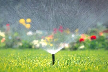 محمدی: استفاده از منابع آب غیرمتعارف در استان بوشهر دنبال می‌شود