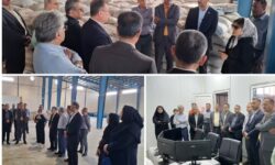 مدیرکل شیلات بوشهر: حمایت از واحدهای تولیدی بومی در اولویت است