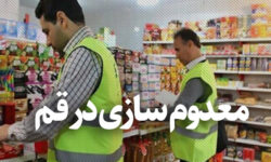 معدوم‌سازی ۳۳۰۰ کیلوگرم گوشت مرغ فاسد در قم