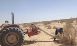 ملخ‌های بومی برای تولید خوراک طیور و آبزیان جارو می‌شوند