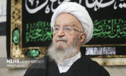 مواضع آیت‌الله مکارم شیرازی در بحران‌ها آرامش‌بخش جامعه وامیدآفرین بود