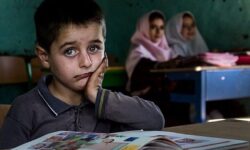 نباید تست‌زنی جایگزین «فهمیدن» شود/تفکر انتقادی به چه معناست؟