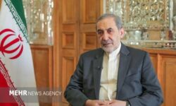 ولایتی: شما شکست خورده‌های در میدان، پیروزِ دیپلماسی هم نخواهید شد