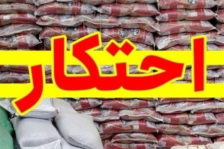 کشف میلیاردی کالاهای قاچاق و احتکار شده در خلخال