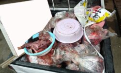 کشف ۳۷۸ کیلوگرم گوشت گراز در قصابی ساری