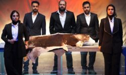 «گاوداری» و پستویی برای دفن پدر؛ برای زنده ماندن تئاتر تلاش می‌کنیم