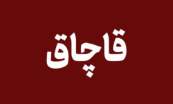 ۲۵ تن نهاده دامی قاچاق در قم کشف شد