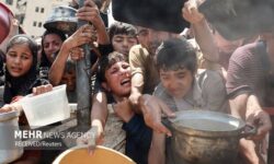 ۴۲ درصد حوادث مرتبط با گرسنگی در جهان در غزه روی می دهد 