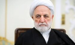 اژه‌ای: بی‌اعتمادی به آمریکا ریشه در تجربه‌های تاریخی ملت ایران دارد