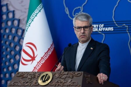 بقائی: آمریکا برای حل بحران گرسنگی، خود نیازمند احسان و خیرات است