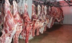 بیش از ۲۰۰ کیلوگرم گوشت غیرمجاز در کرمانشاه معدوم شد