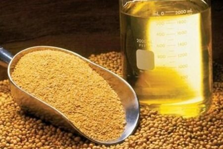 ثبت سفارش واردات روغن خام از 10 تیر آغاز می‌شود