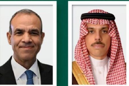 جزئیات گفت‌وگوی وزیران خارجه عربستان و مصر