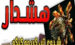 هشدار سازمان دامپزشکی درباره شیوع تب کریمه کنگو