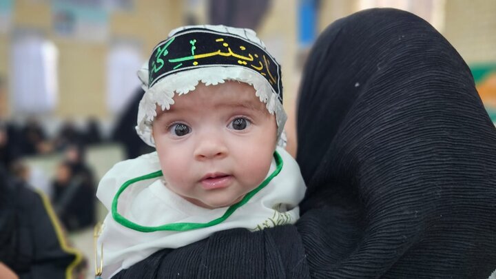 همایش شیرخوارگان حسینی در دیر برگزار شد