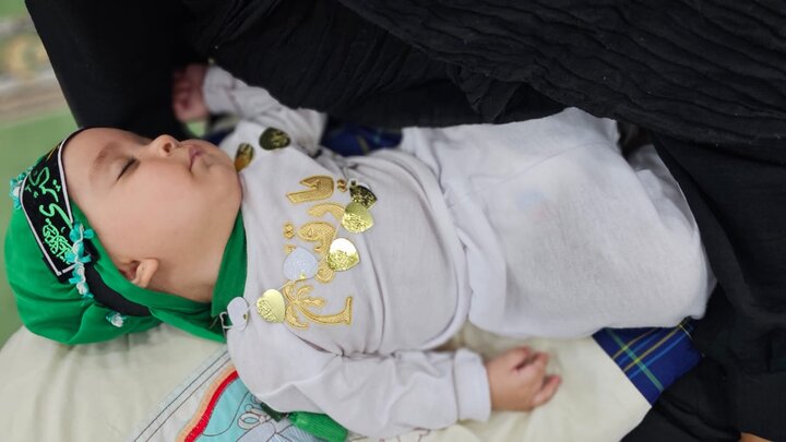 همایش شیرخوارگان حسینی در دیر برگزار شد
