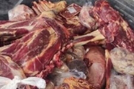 کشف سردخانه غیرمجاز نگهداری ۵ تن فرآورده خام دامی در یک منزل مسکونی