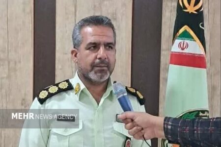 کشف ۲۵ راس احشام فاقد مجوز در میامی؛ ۲ خودروی متخلف توقیف شدند