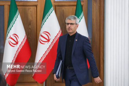 بقائی: ملت ایران بیش از هر زمانی متحد و مصمم است