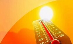 رونمایی از یخچال خیابانی برای مقابله با گرمازدگی / عکس