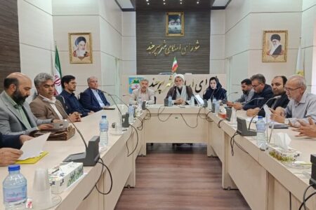ساماندهی فضاهای عمومی و اراضی معصومیه روی میز شورای شهر بیرجند