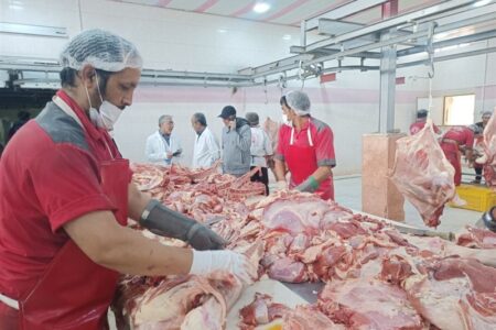 سختگیری جدید اروپا؛ فرصتی برای ارتقاء سلامت تولیدات دامی ایران