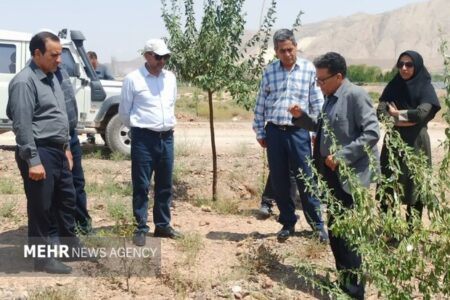 طرح‌های توسعه‌ای و نیروگاه‌های خورشیدی شاهرود زیر ذره‌بین جهاد کشاورزی