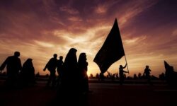فروش بلیت پروازهای اربعین “هما” فقط از طریق وبگاه رسمی