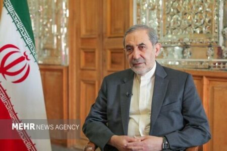 ولایتی: طرح تقسیم مسیر تنگه هرمز چوب حراج به سرمایه ملی است