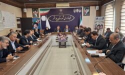پرداخت ۲۳۵ میلیارد ریال تسهیلات مشاغل خانگی در پلدختر