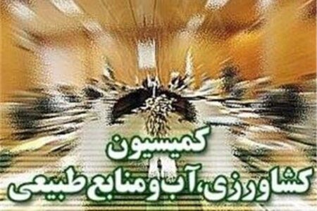 پیگیری سازوکار پرداخت مطالبات گندم‌کاران در کمیسیون کشاورزی مجلس