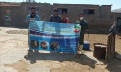 اردوی جهادی دامپزشکی در دالاهو برگزار شد
