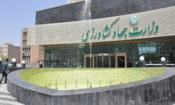 اطلاعیه ستاد تنظیم بازار وزارت جهاد کشاورزی در خصوص واردات کالاهای مجاز