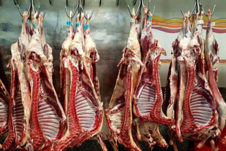 بازار گوشت در مسیر ثبات؛  ایران ظرفیت تبدیل شدن به هاب تولید و صادرات گوشت را دارد