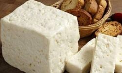 بازار ۵۰ میلیارد دلاری پنیر در سال ۲۰۲۵؛ اروپا همچنان قلب تجارت جهانی پنیر است
