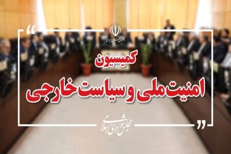 تصویب کلیات طرح تامین امنیت تنگه هرمز در کمیسیون امنیت ملی مجلس