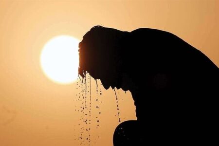 تلفات بی‌سابقه گرما در آلمان