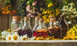 توسعه فناوری و استانداردسازی در زیست‌بوم گیاهان دارویی و طب ایرانی